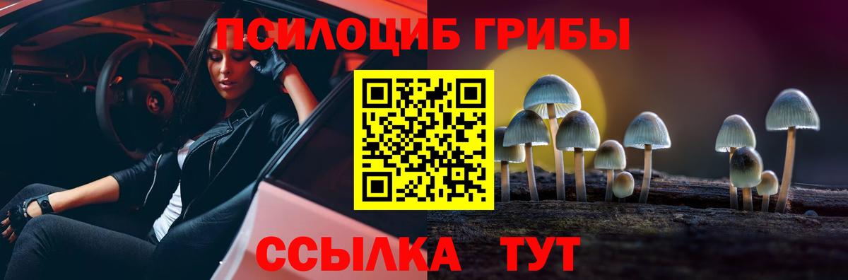 Коммунар  Галлюциногенные грибы GOLDEN TEACHER  цена наркотик  Псилоцибиновые грибы мицелий  Вход с VPN 